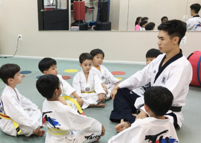 Taekwondo Classes 1