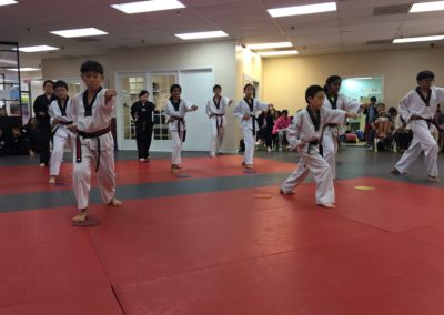 Taekwondo Classes 2
