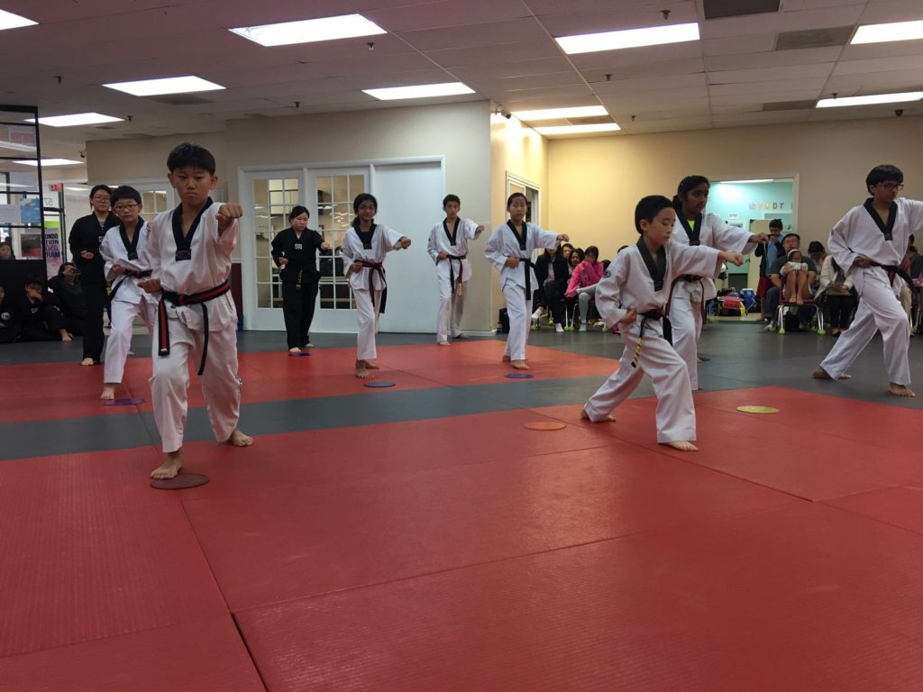 Taekwondo Classes 2
